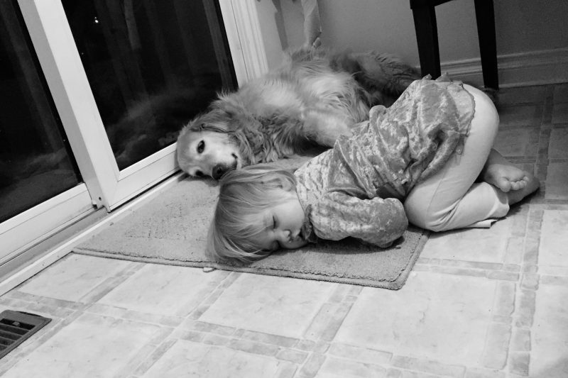 Creating My Author Website; With Abby