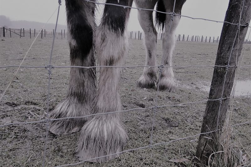 Beneath the Surface, a collection by Ascribe