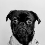 Sponsor to Become a Character!