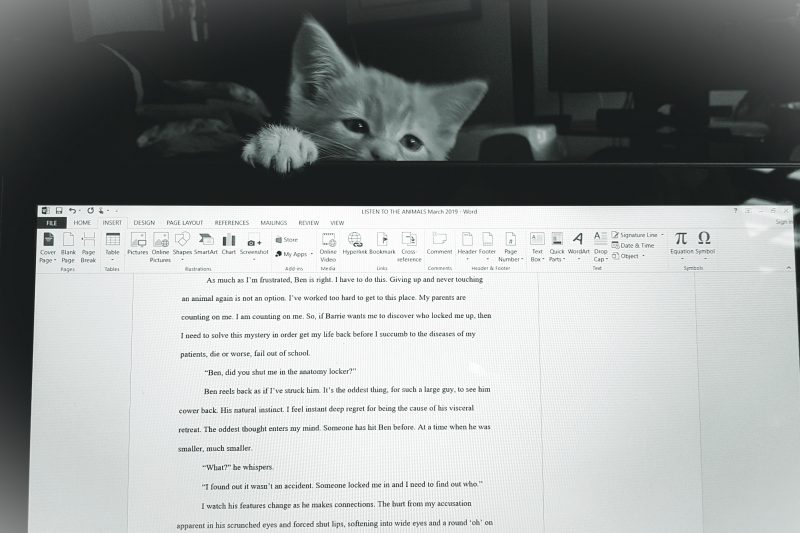 Back to the Marathon…