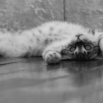 5 Steps to Improve Your Writing – Focusing on Repetition