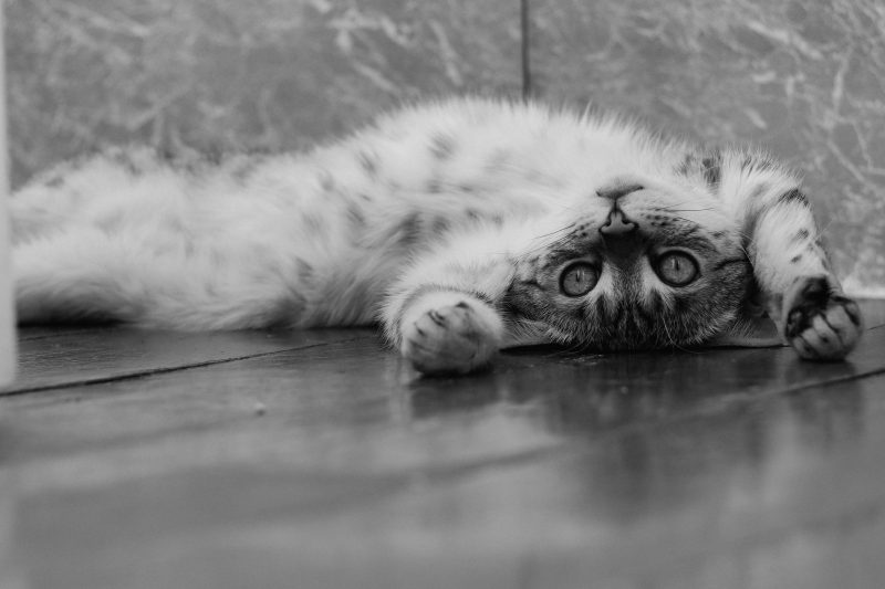 5 Steps to Improve Your Writing – Focusing on Repetition